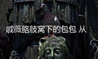 戚薇胳肢窝下的包包 从去年牢牢卡到现在